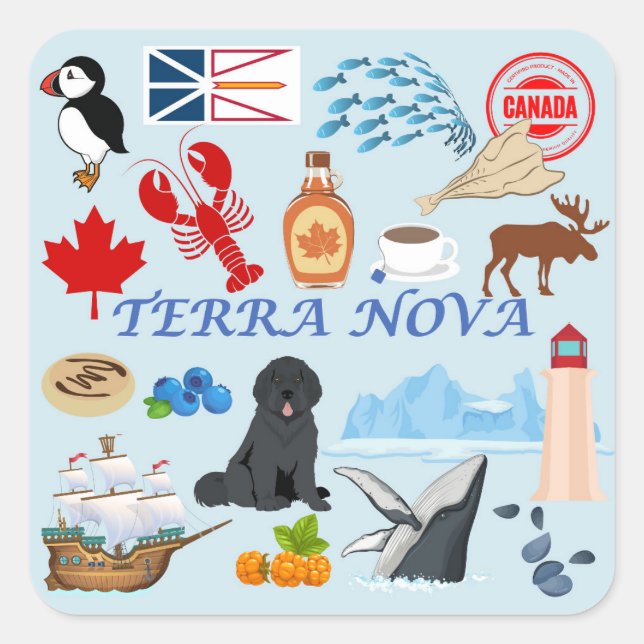  Terra Nova Newfoundland Square Sticker (Front)