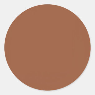 Terracotta Burnt Orange Solid Colour  Classic Round Sticker