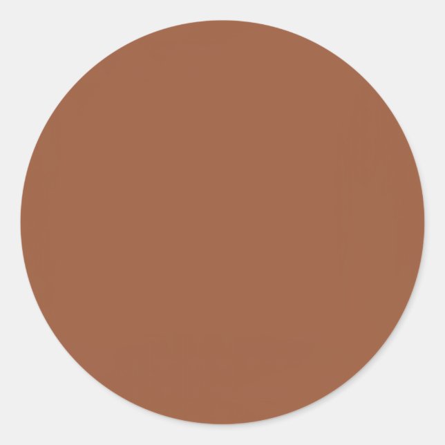 Terracotta Burnt Orange Solid Colour  Classic Round Sticker (Front)
