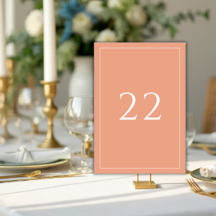 Terracotta Minimalist Elegant Wedding Table Number