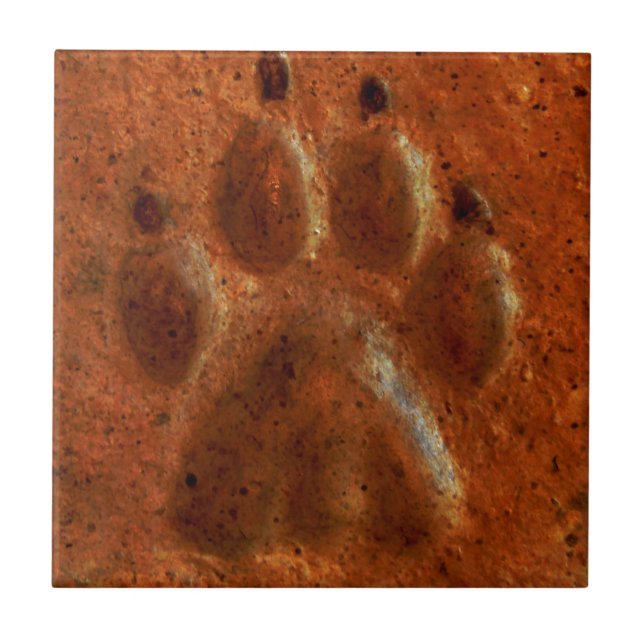 "Terracotta Paw Print" by Carter L. Shepard" Tile (Front)