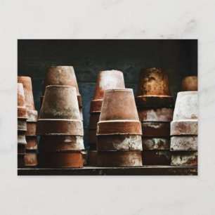 Terracotta Plant Pots Postcard