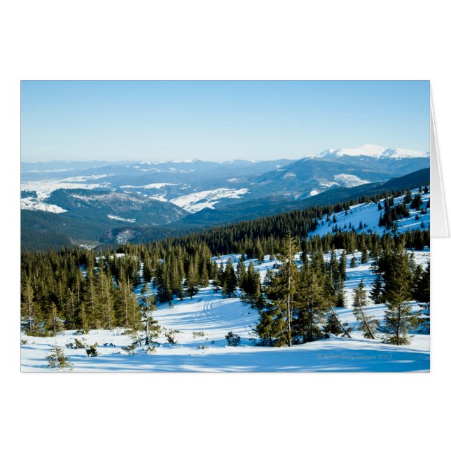 Terrain d'hiver 2 (Devant horizontal)