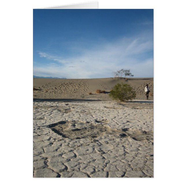 Terrain sec (Devant)