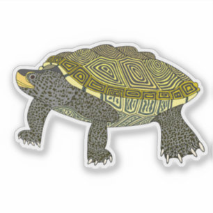 Terrapin - Autocollant vinyle