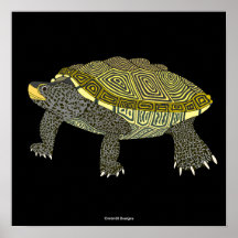Terrapin (black) - Poster Print