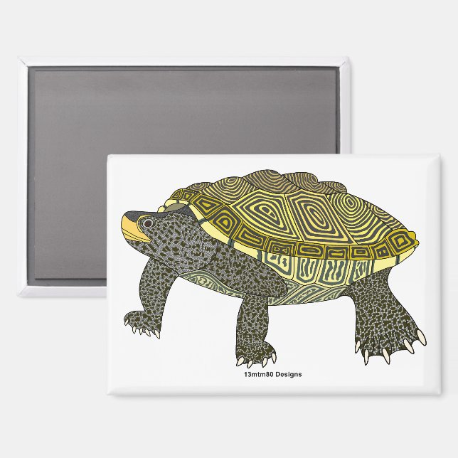 Terrapin (blanc) - Aimant Rectangle (Recto/Verso)