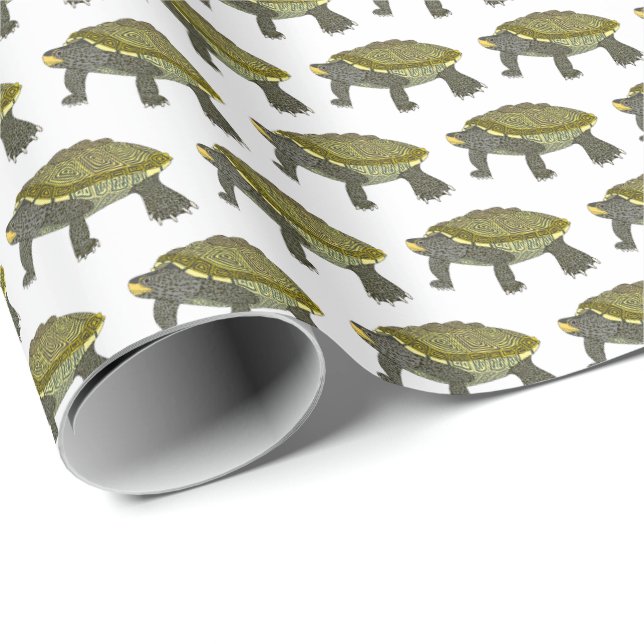 Terrapin (white) - Wrapping Paper (Roll Corner)