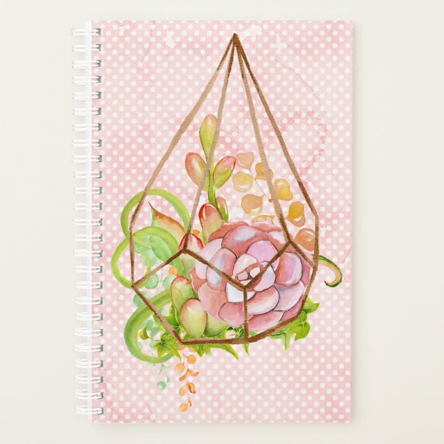 Terrarium rose Succulent (Devant)