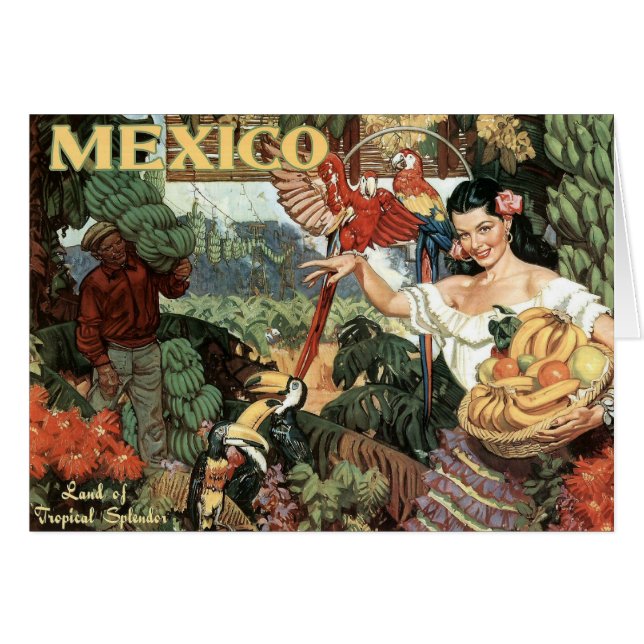 Terre de splendeur tropicale (Devant horizontal)