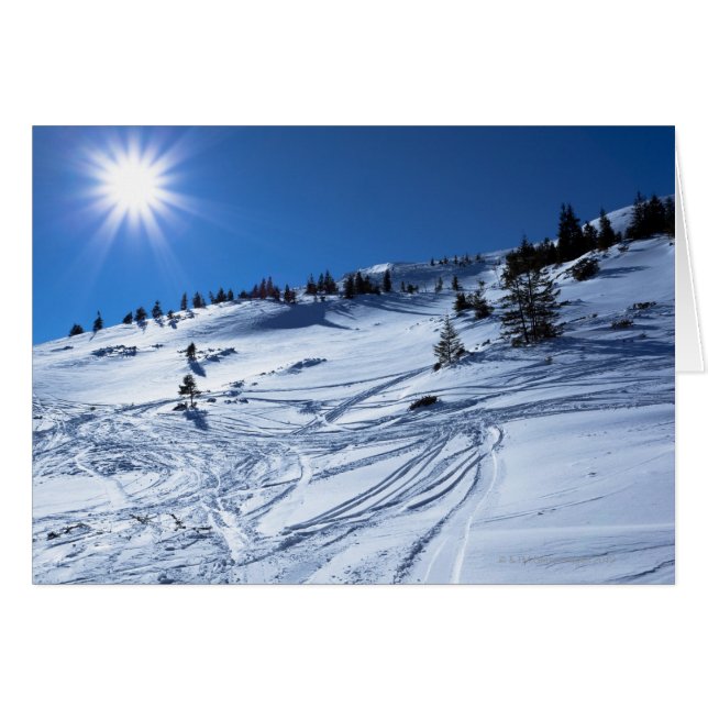 Terre d'hiver (Devant horizontal)