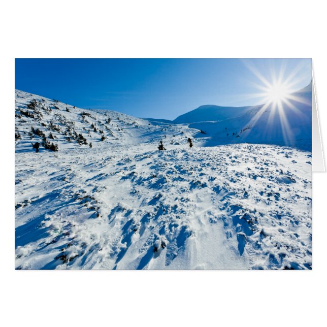 Terre d'hiver (Devant horizontal)