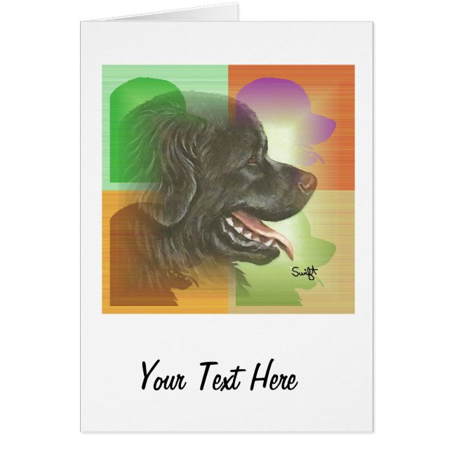 Terre-Neuve (Devant)