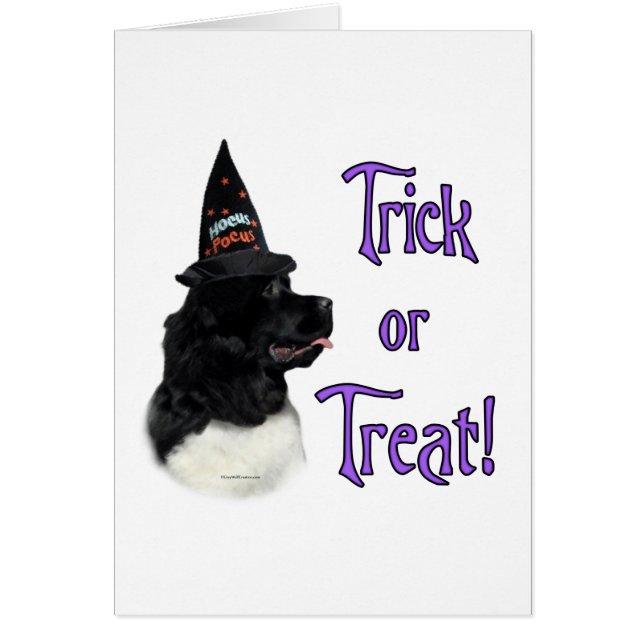 Terre-Neuve (atterrisseur) Trick (Devant)