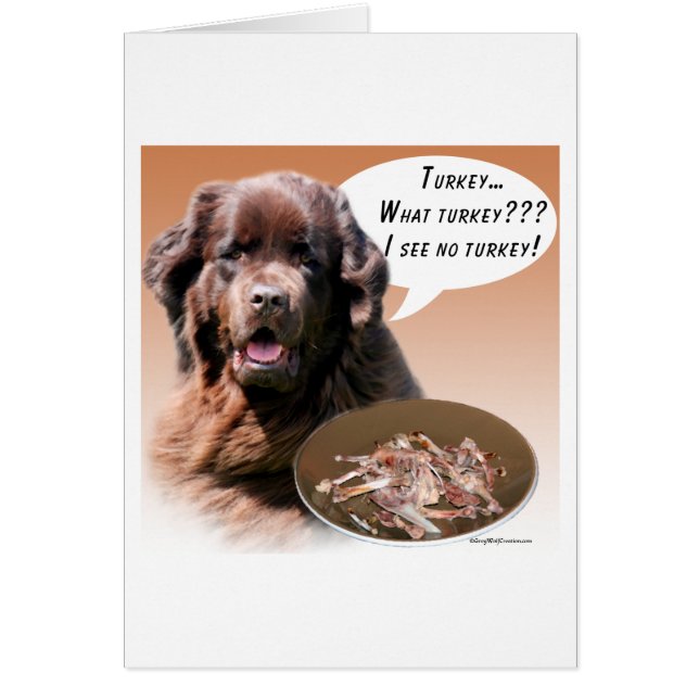 Terre-Neuve (brun) Turquie (Devant)