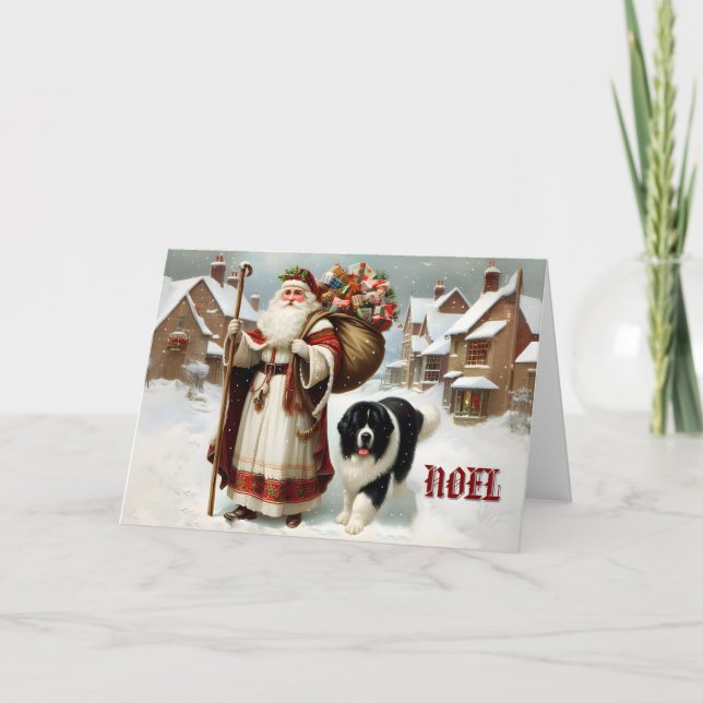 Terre-Neuve Landseer de chien avec carte St Nick (Devant)