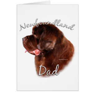 Terre-Neuve (marron) Papa 2