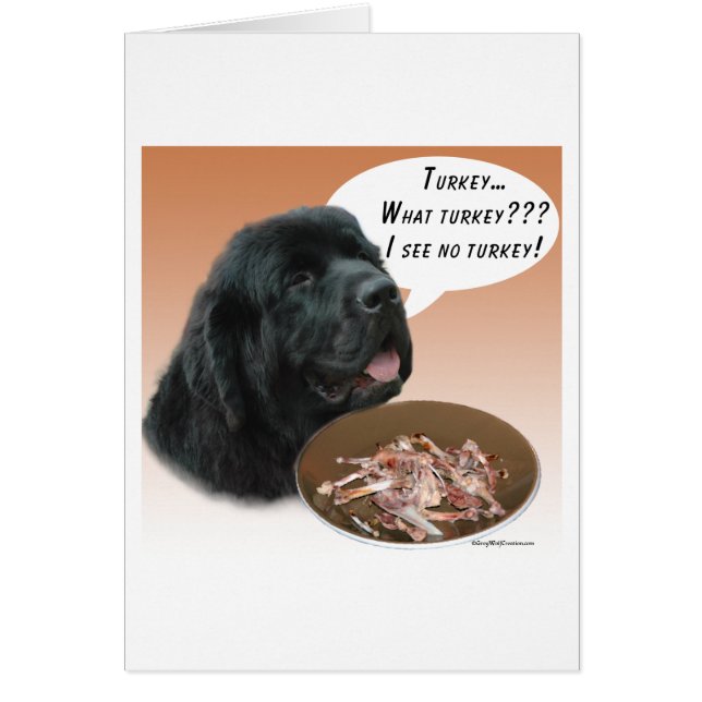 Terre-Neuve (noir) Turquie (Devant)