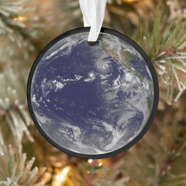 Terre Pleine Montrant Diverses Tempêtes Tropicales (Arbre)