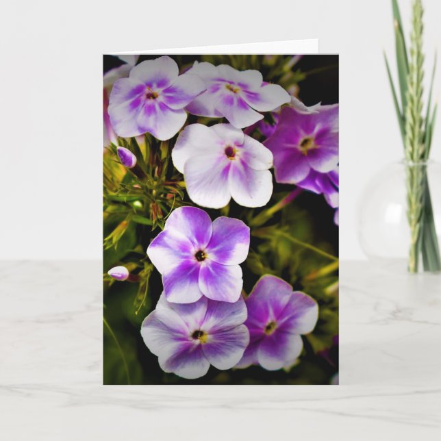 Terre verte, carte (Devant)