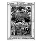 terrible de penny - cric ressort-gîté