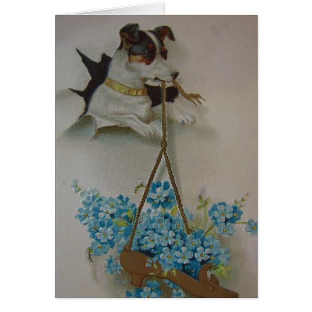 Terrier and Shoe (Front)