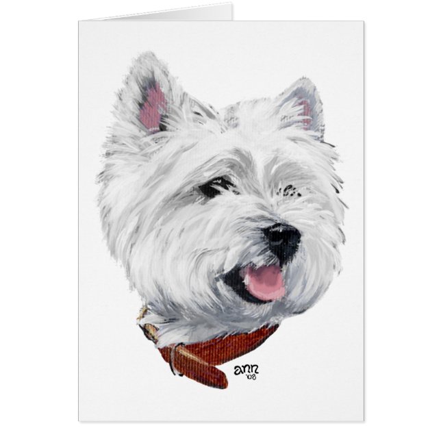 Terrier Blanc de West Highland (Devant)
