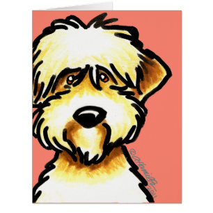 Terrier blond comme les blés doucement enduit fon