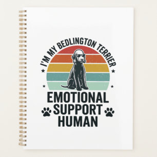 Terrier de Bedlington Soutien Émotionnel Humain Vi