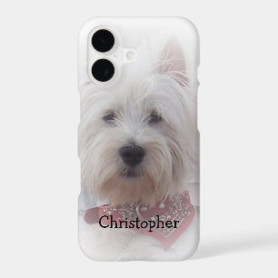 Terrier des montagnes occidental ajoutent juste le