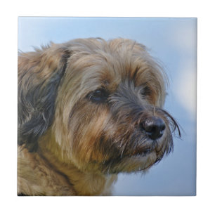 Terrier Design Tile