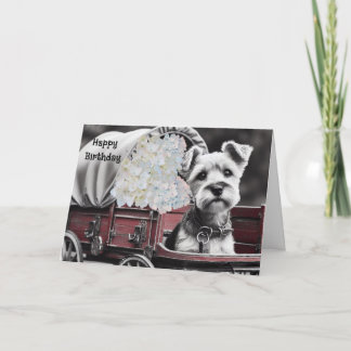 Terrier Dog in Vintage Wagon Birthday Card