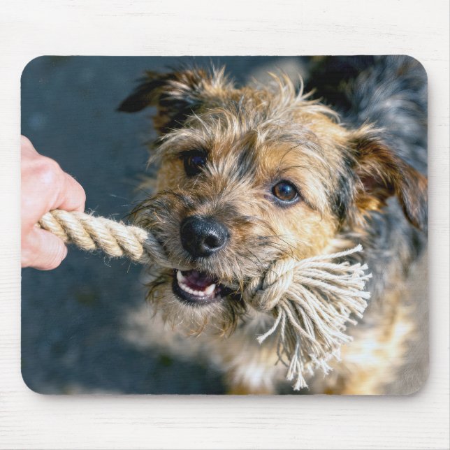 Terrier Dog Playing Tug of War Mouse Pad (Front)