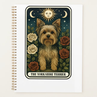 Terrier du Yorkshire