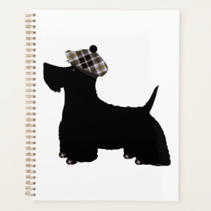 Terrier écossais