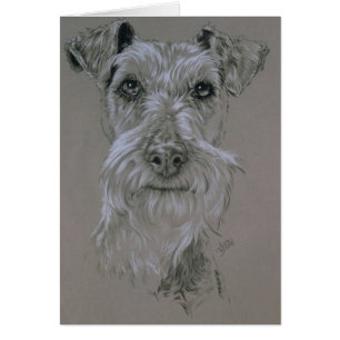 Terrier irlandais