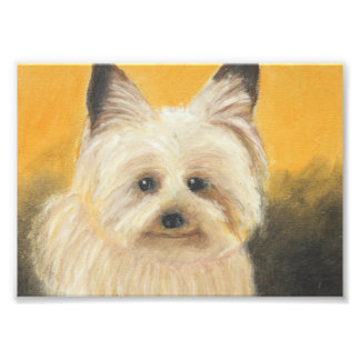 Terrier Photo Print