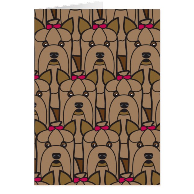 Terriers de Yorkshire (Devant)