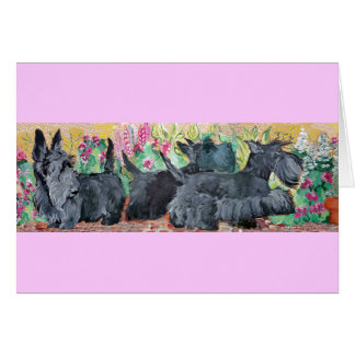 Terriers d'écossais de jardin