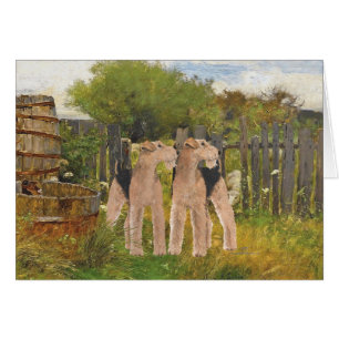 Terriers sur la ferme