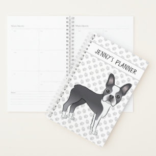Tervueren et blanc Boston Terrier Chien de dessin 
