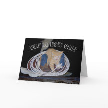 T'es quel âge ? Funny Chat carte d'anniversaire