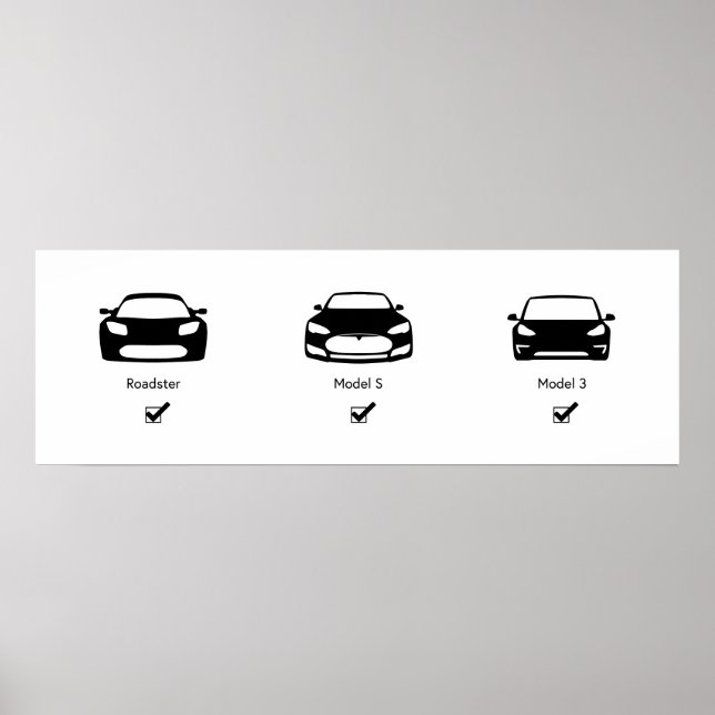 Tesla Master Plan | Matte Poster (Front)