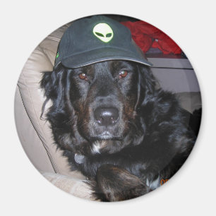 TESLA THE ALIEN DOG MAGNET