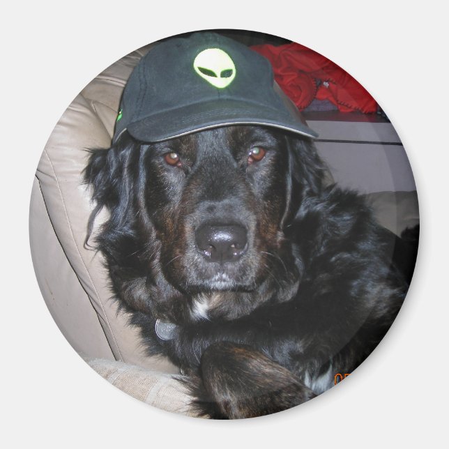 TESLA THE ALIEN DOG MAGNET (Front)