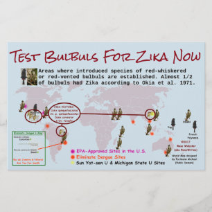 Test Bulbuls For Zika 2-Sided Flyer by RoseWrites