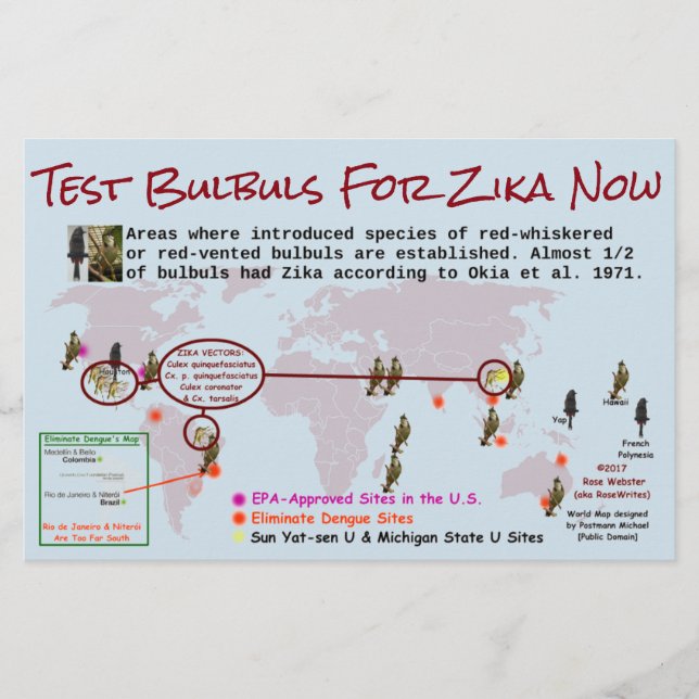 Test Bulbuls For Zika 2-Sided Flyer by RoseWrites (Front)