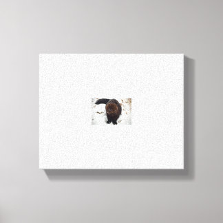 test canvas print