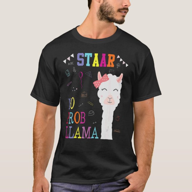 Test Day Llama Teacher Student Llama  Testing Day T-Shirt (Front)