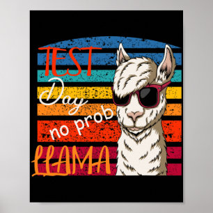 Test Day No Prob Llama Teacher Professor Joke Poster